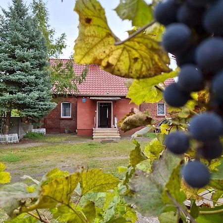 Domek Przy Maja Milicz Exterior foto